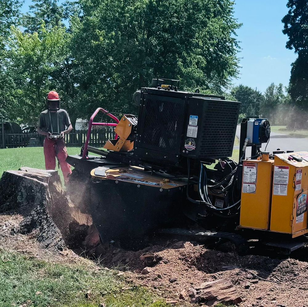 Our Stump Removal service efficiently eliminates unsightly stumps, enhances your landscape's appearance, and prevents potential hazards. Our expert team ensures safe, thorough removal for a clean and beautiful outdoor environment. for Lamb Brothers Land Clearing in Murray, KY