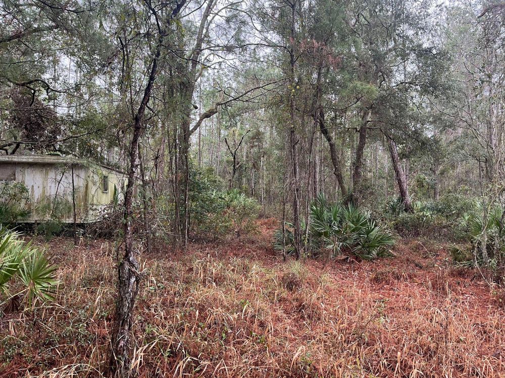 All Photos for Diamond B Earthworks in Camden County, GA