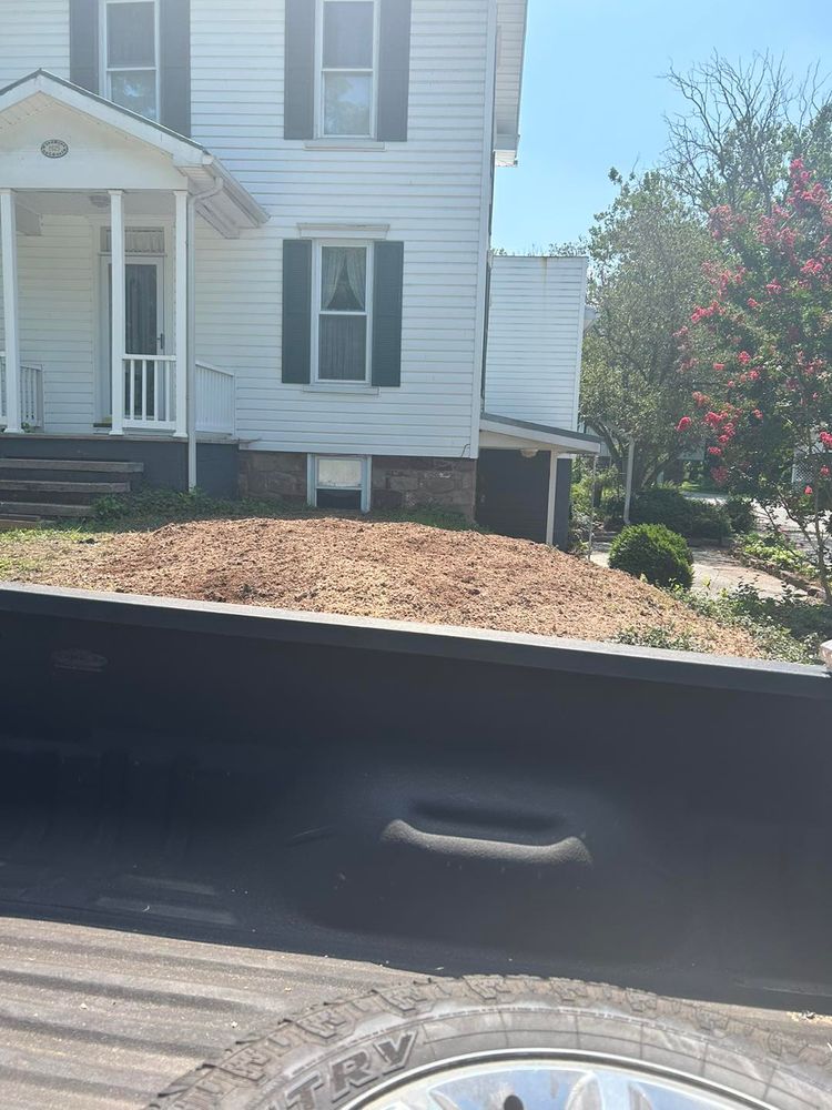 Tree Removal for Mad Dust Stump Grinding in Howard County, MD