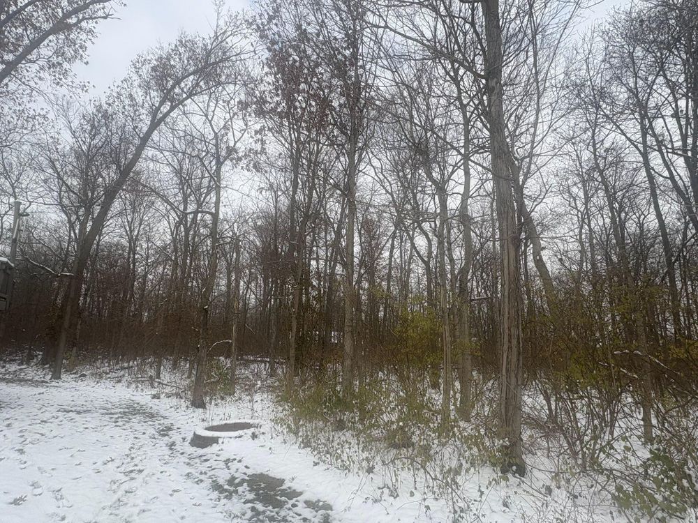 All Photos for Dig-It Tree Company in Mason, OH