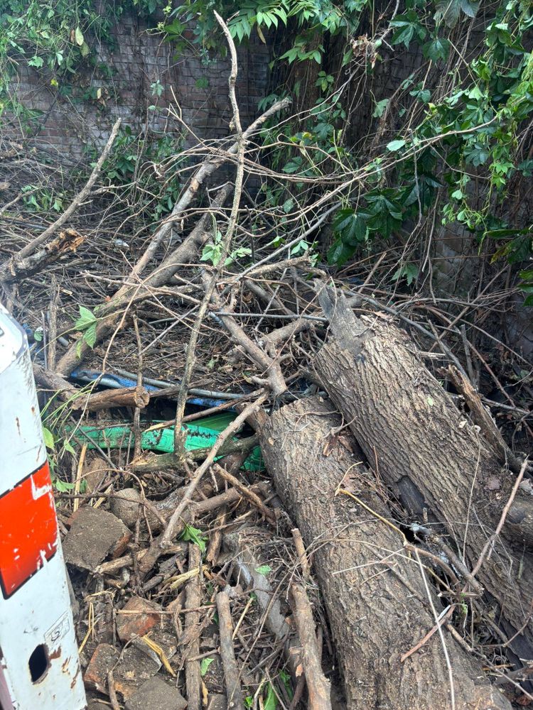 All Photos for Cross Family Tree Service in Kearney, MO