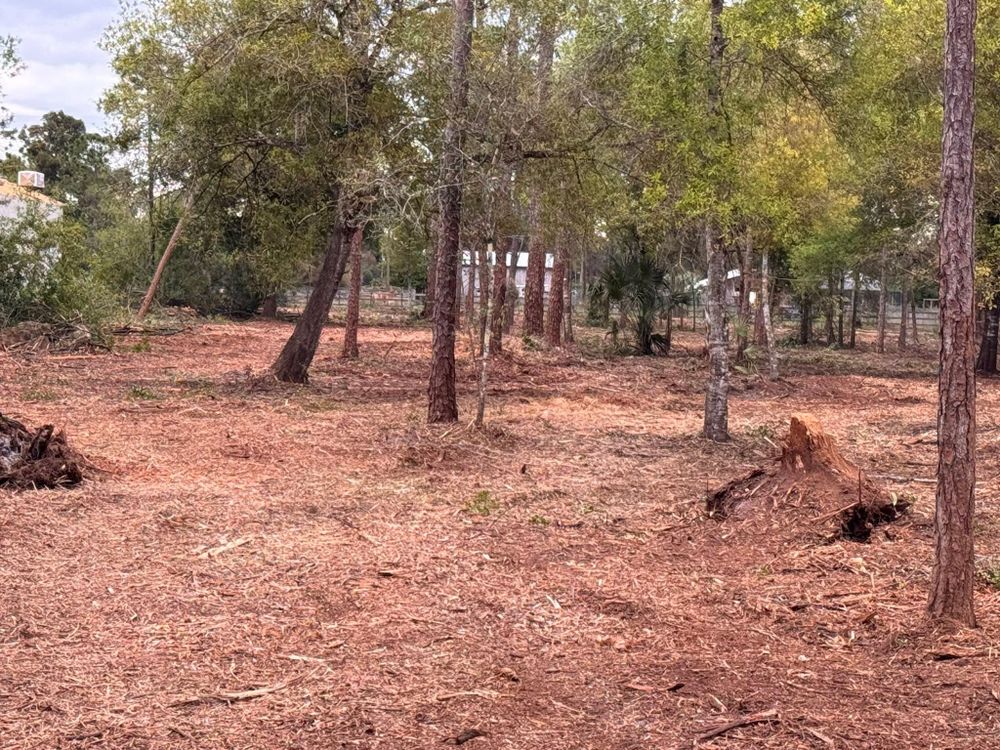 All Photos for McLeran in Naples, FL