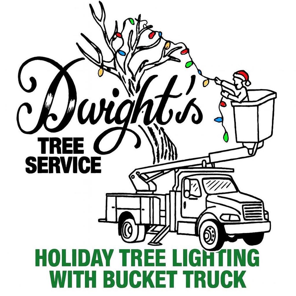 All Photos for Dwights Tree Service in Middleborough, MA
