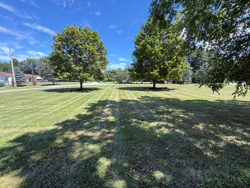 Lawn Care for Ardisi Landscaping & Design in Poughkeepsie, NY 