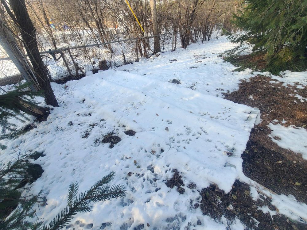 All Photos for Fence Medic in Arlington Heights, IL