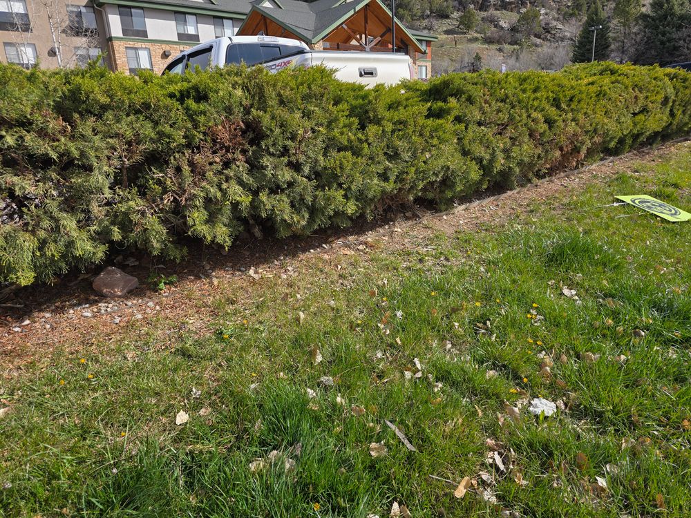 All Photos for LRS: Landscape, Rescue, Snow in Silt, CO