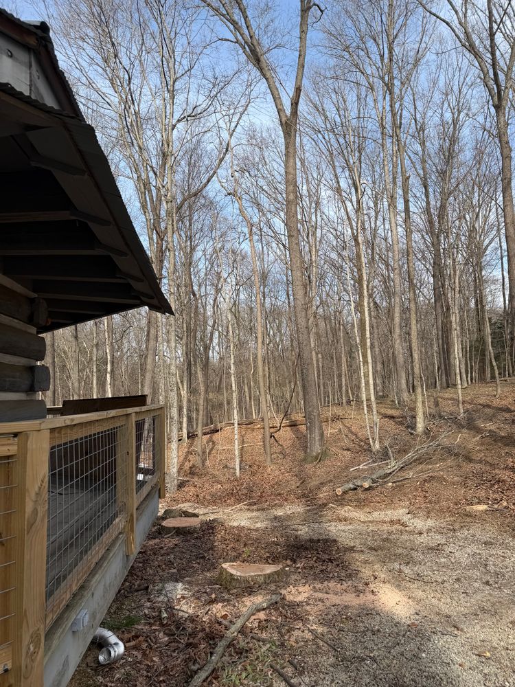 All Photos for Kadin’s Tree Service in North Vernon, IN