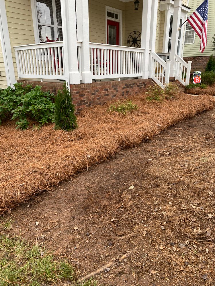 Pine Needle Installation for Dream Cuts Landscaping and Lawn Care LLC in Gastonia, NC