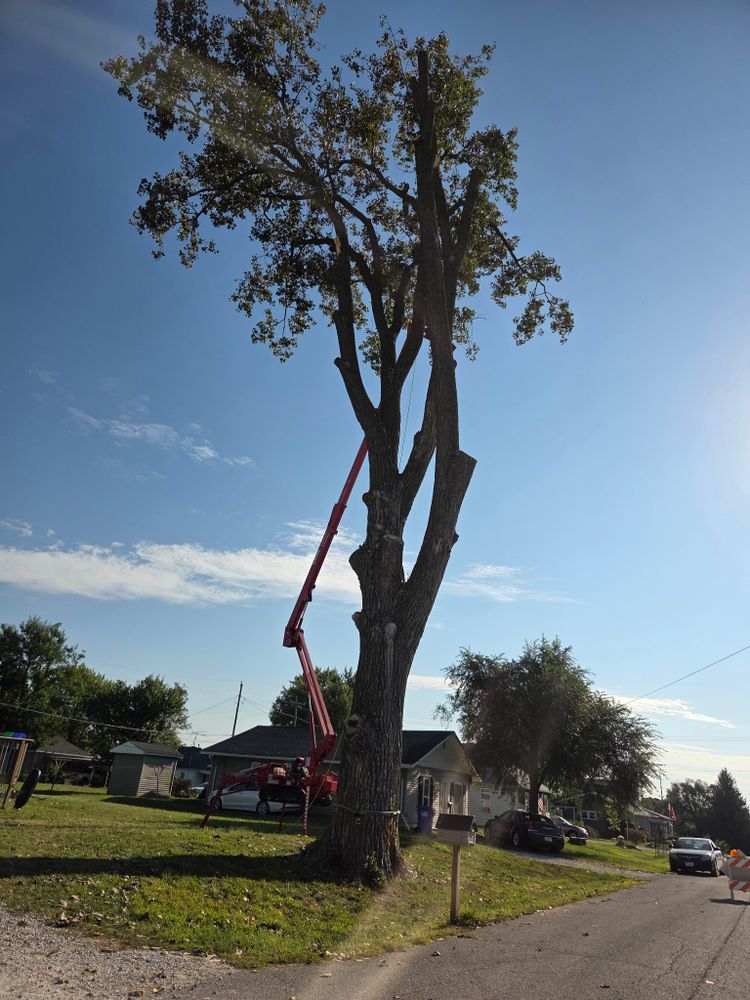 All Photos for Lawn Ranger Yard And Tree Service LLC in Ottumwa, IA