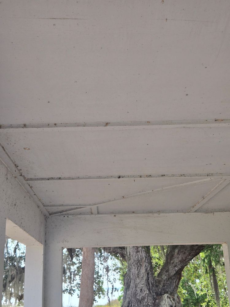 All Photos for Above the Lawn Cuts and Pressure Washing in Sebring, FL