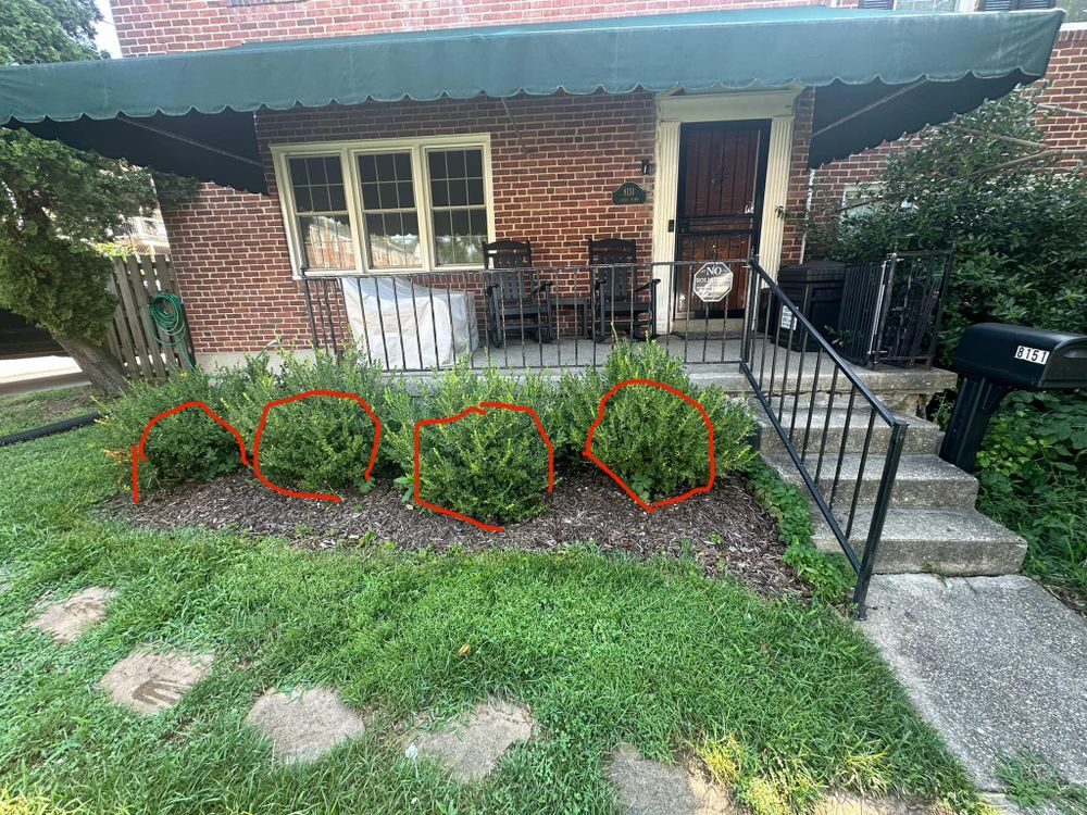 All Photos for Matteo Hardscapes in Towson,  MD