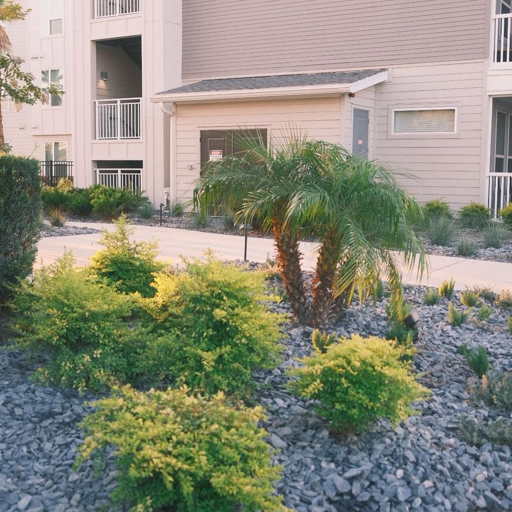 All Photos for Pro Designs Landscaping in Jacksonville, FL