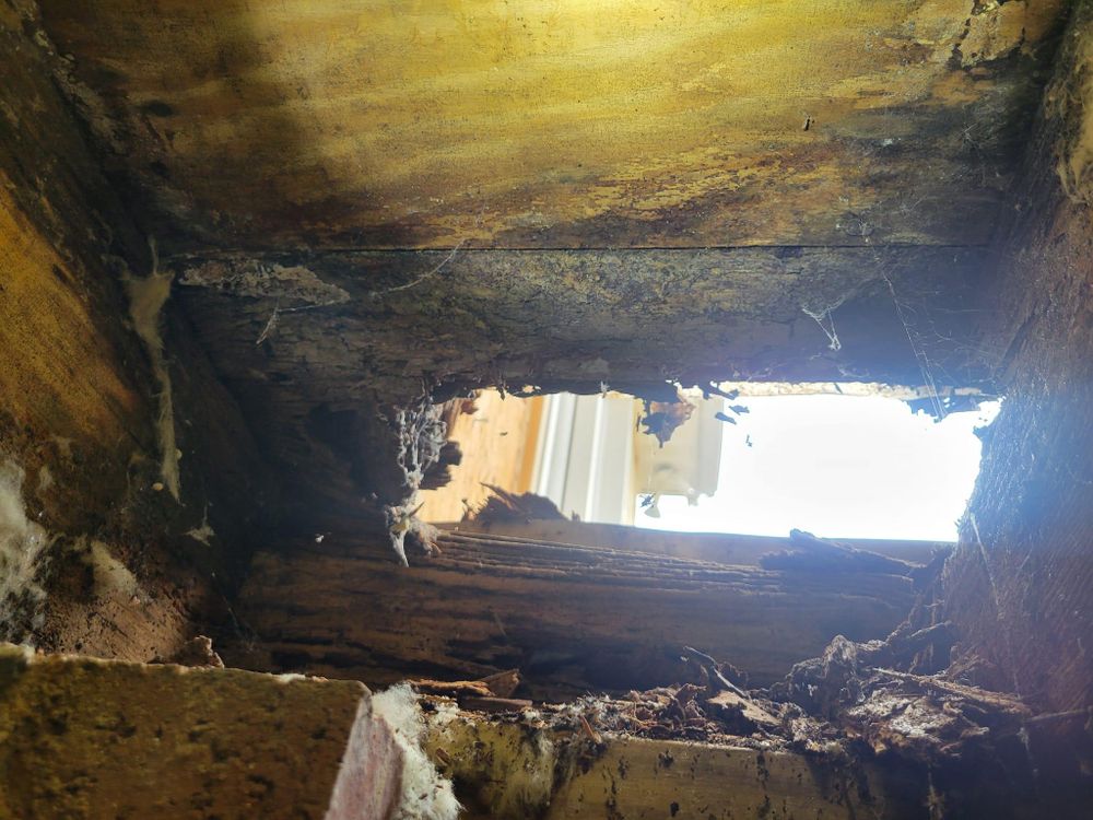 All Photos for GVL Renovations in Greenville, SC