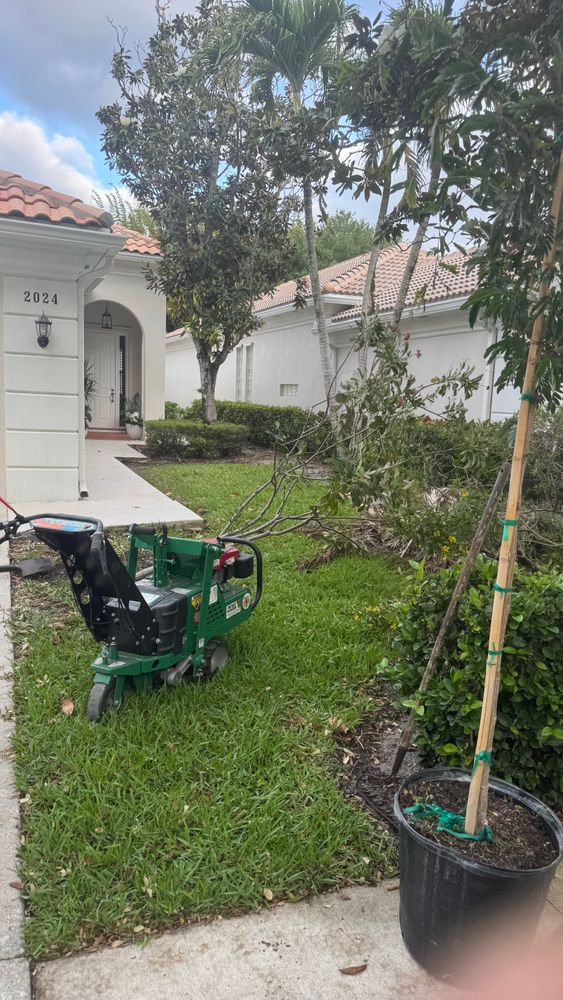 All Photos for South Florida Terra Systems in Boca Raton, FL