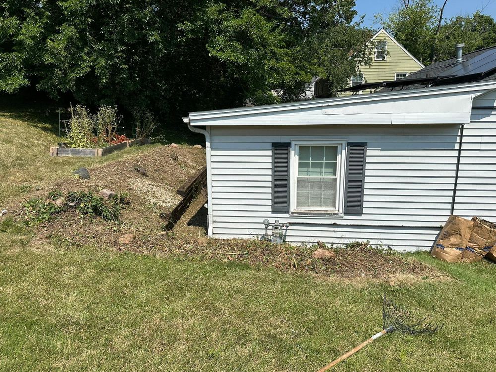 Tree Removal for Greenlee & Family Landscaping Services in Peoria, IL