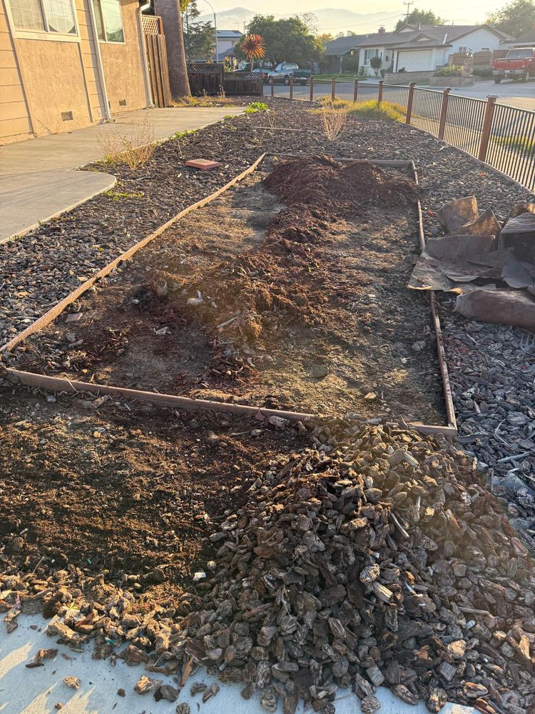 All Photos for CBA Landscaping in Hayward, CA