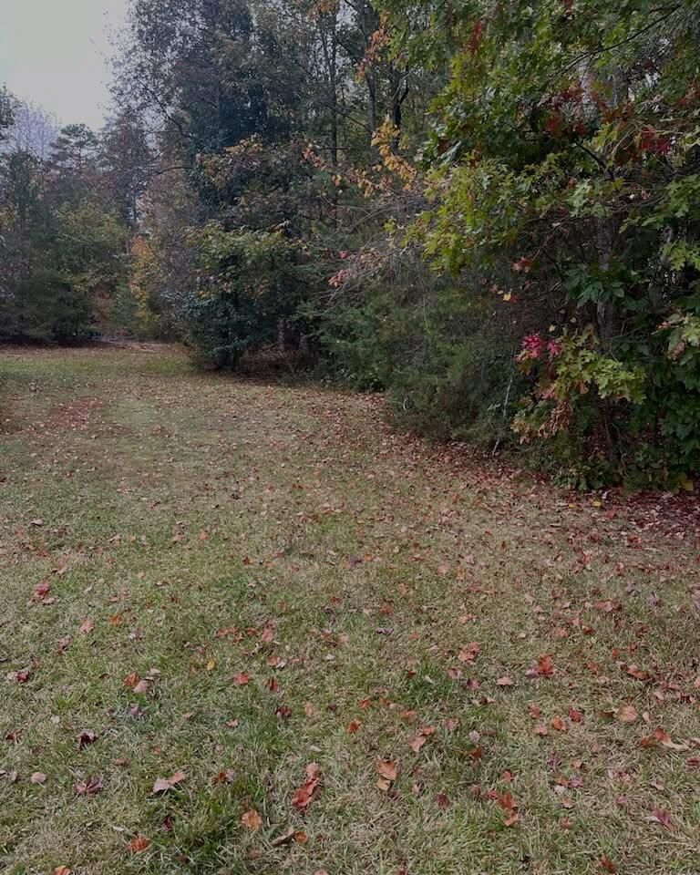 All Photos for T Crane Grading LLC in Clarkesville, GA