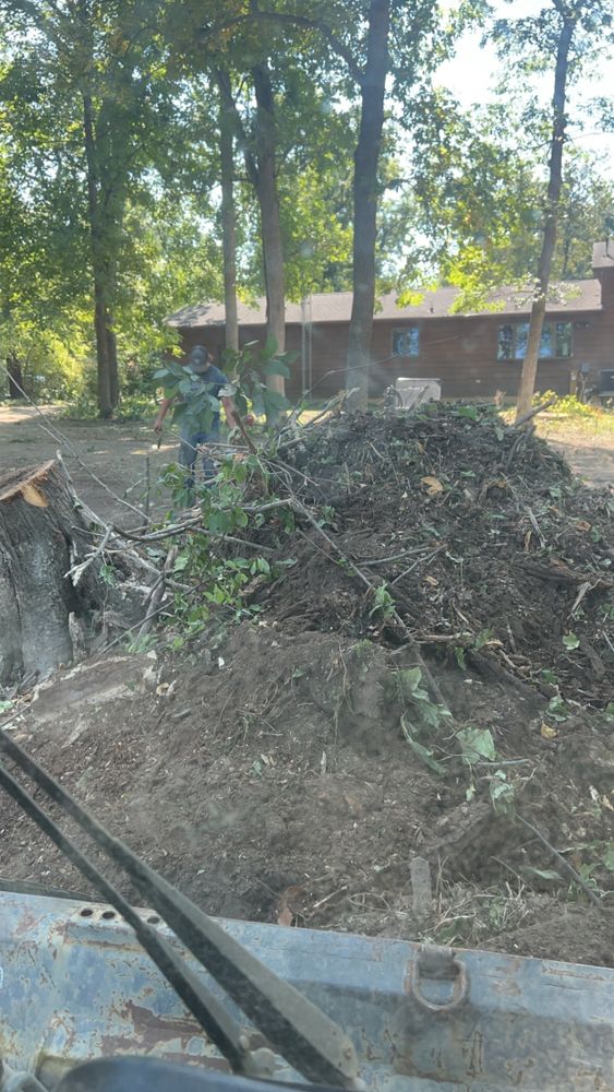 All Photos for Fransen's Tree Service  in Freeport, IL