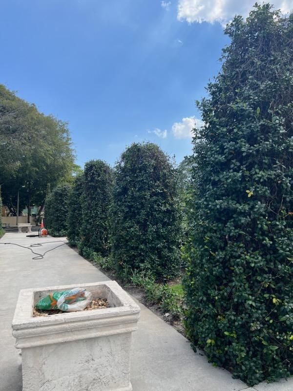 All Photos for Rey Landscaping & Lawn service LLC in West Palm Beach,  FL