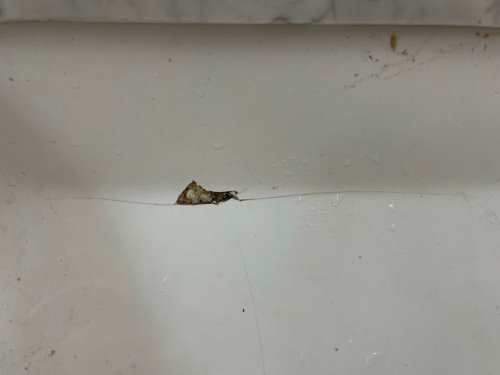 All Photos for Tony's Remodeling & Painting in Renton, WA