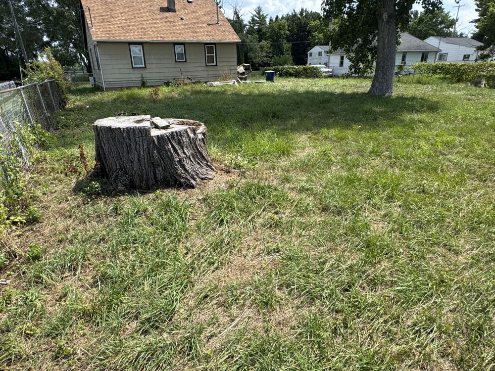 Landscaping Lawn Care for Daugherty's Tough Lawn Care in Essexville, MI