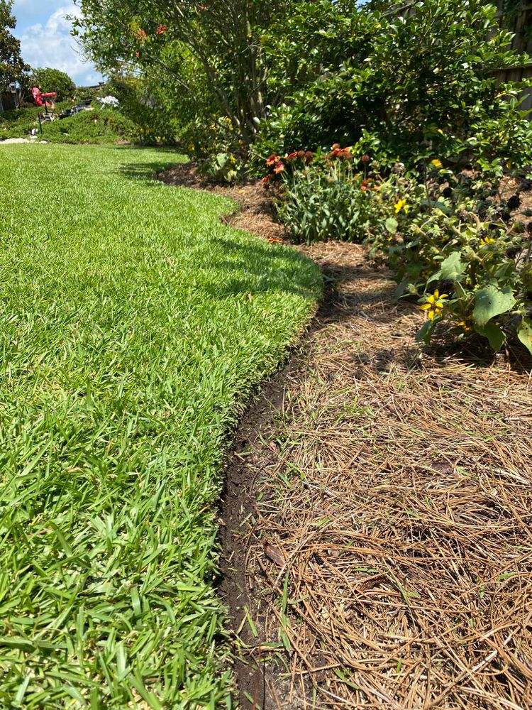 Landscaping for Djosey Landscapes in Wilmington, NC