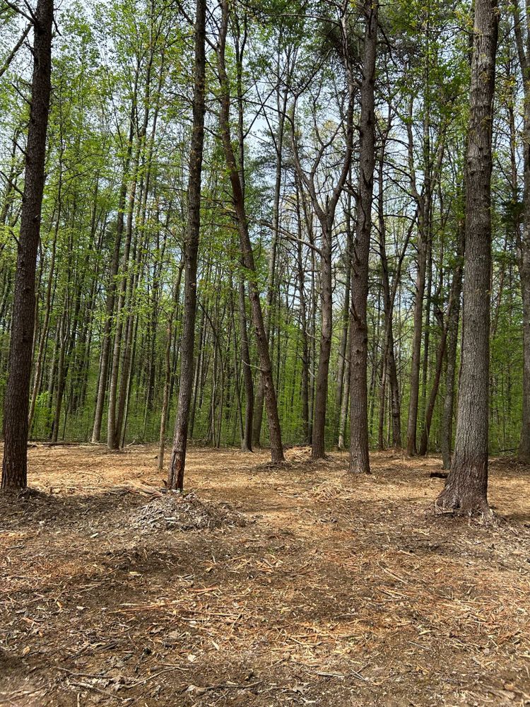 All Photos for Z's Land Management & Forestry Mulching in Smithville, TN