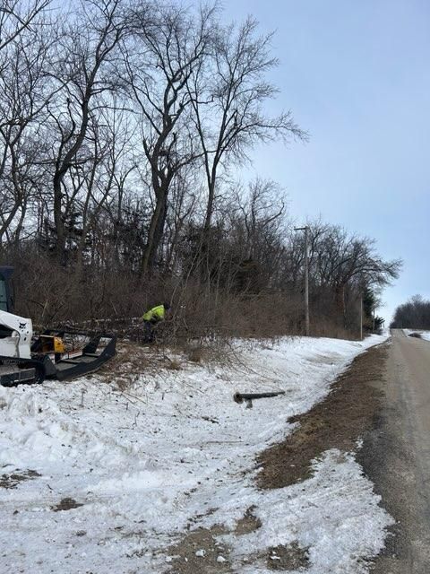 All Photos for Fransen's Tree Service  in Freeport, IL