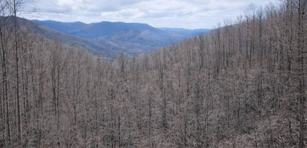 All Photos for DC Excavation in Jackson County, NC