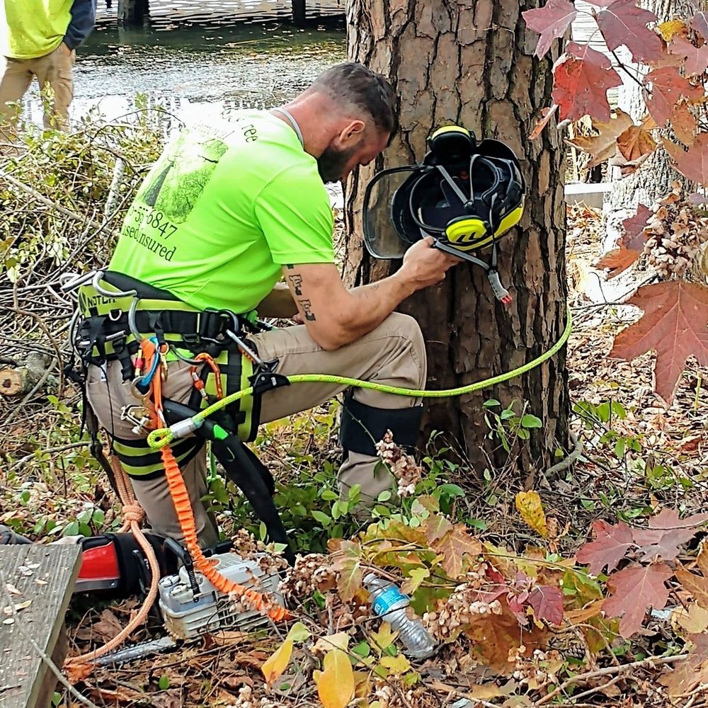 Tree Removal for Big Rock Tree Removal LLC in Boaz, AL