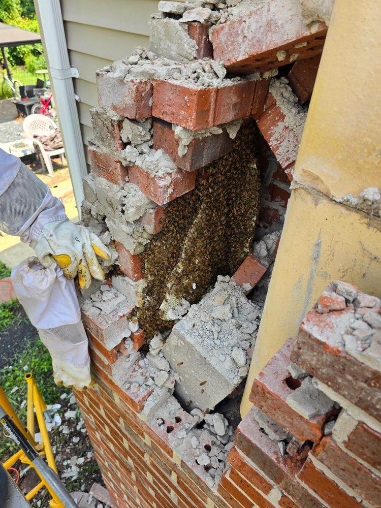 All Photos for Top Notch Chimney Services in Charlotte Hall, MD