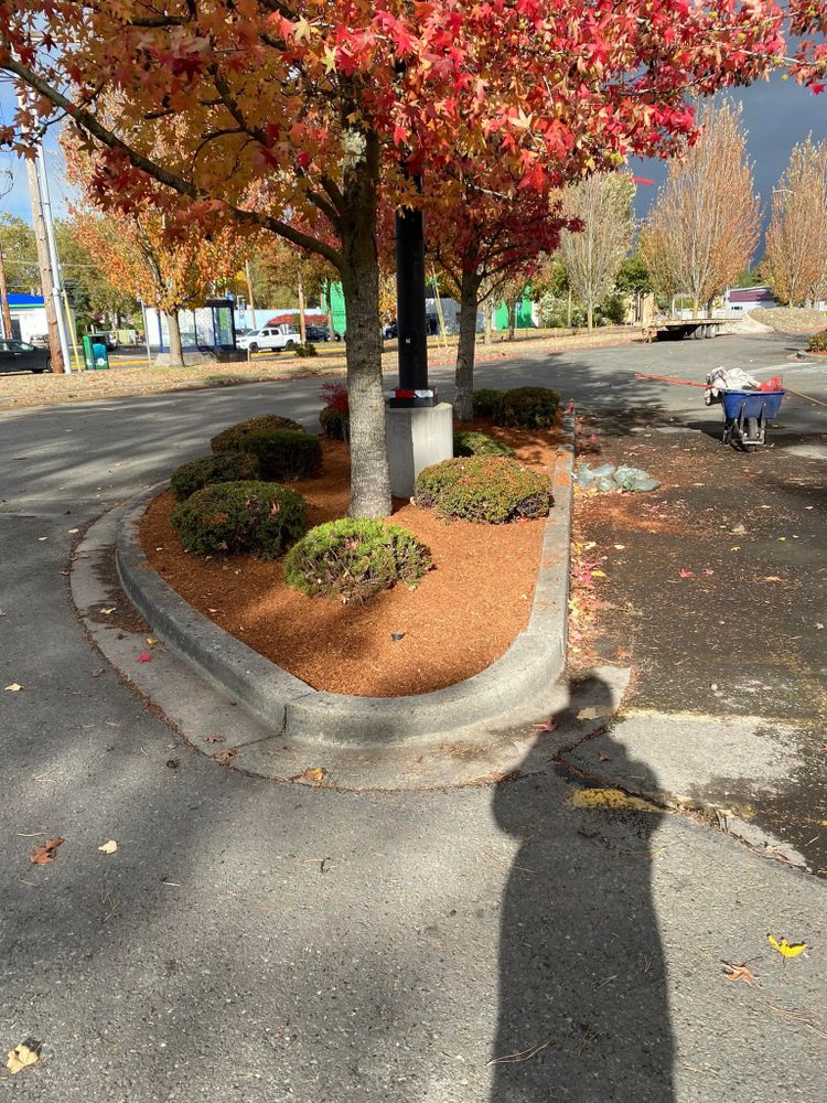 Landscaping for Family Landscaping & Irrigation in Auburn, WA