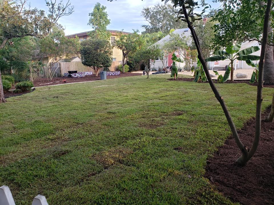 Landscape Design for Golden Landscape & Tree Care in St. Petersburg, Fl