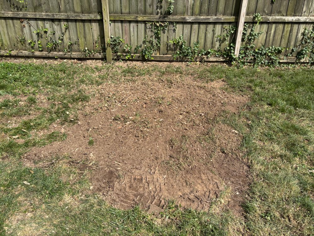 All Photos for Conrad's Stump Removal in Columbus, IN