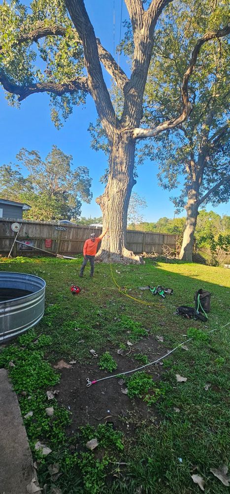 All Photos for Servin's Tree Care  in Houston, TX