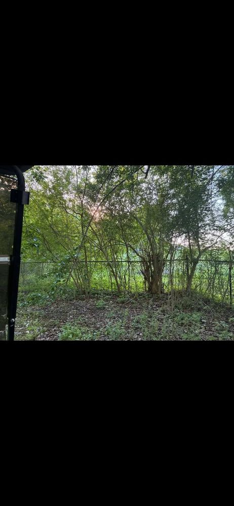 All Photos for Big C Land Management in Anniston, AL