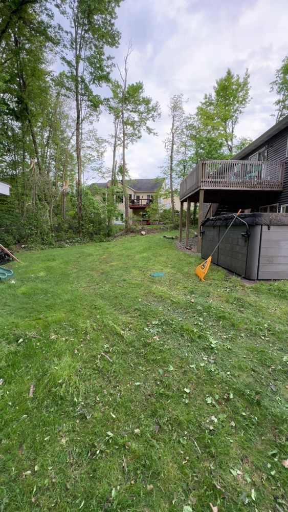 All Photos for Branching Out Tree Service in Hastings, MI