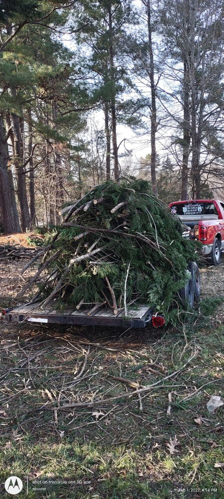 Tree Removal for Top Notch Lawn Care and Tree Removal in Mebane, NC