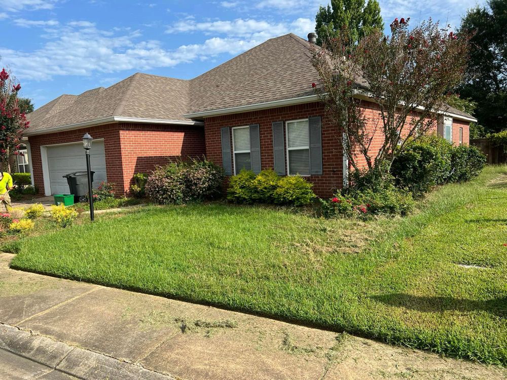 Landscaping for Amis Lawn and Landscape, LLC in Clinton, MS