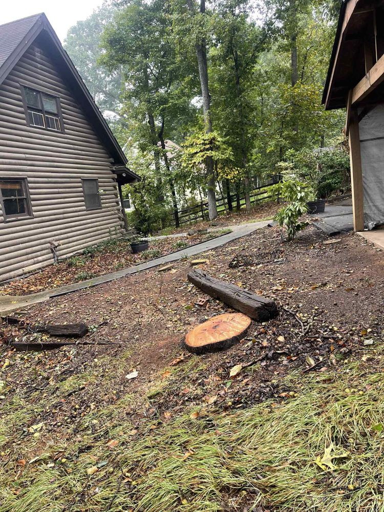 Tree Services for K-2 Tree Service in Shelby, NC