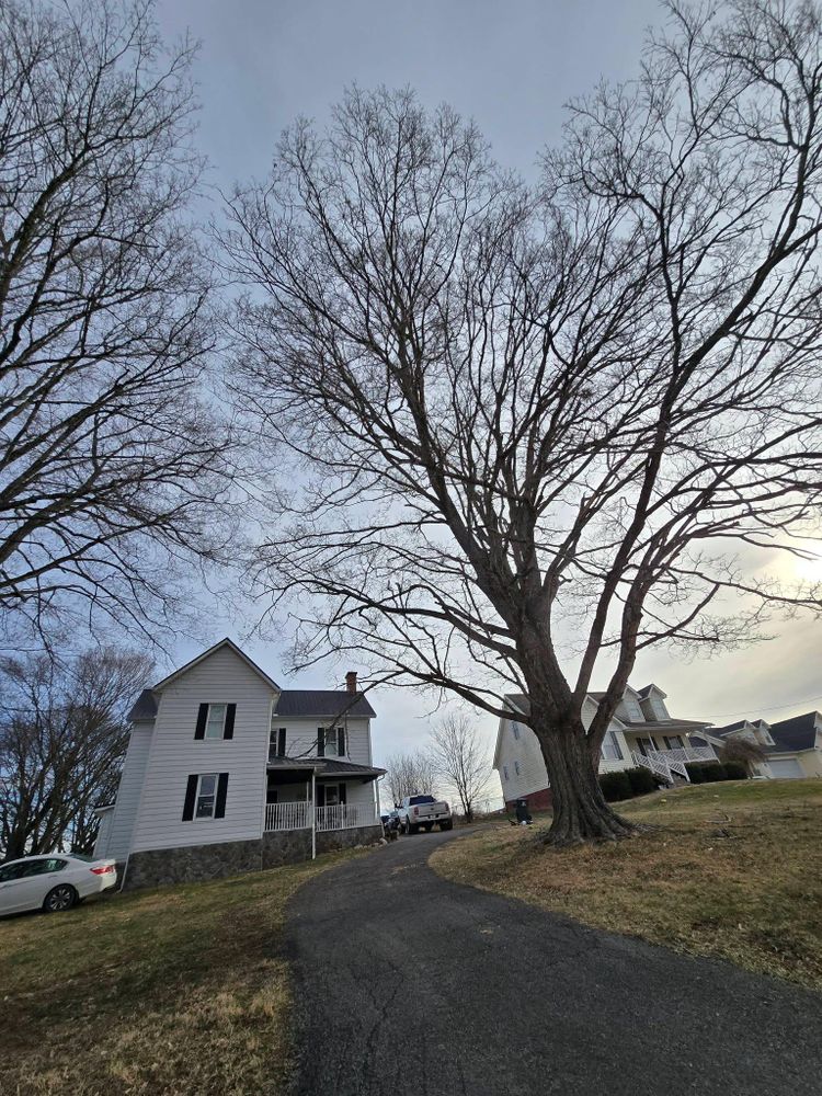 All Photos for M&L Lumber and Excavating in Jonesborough, TN