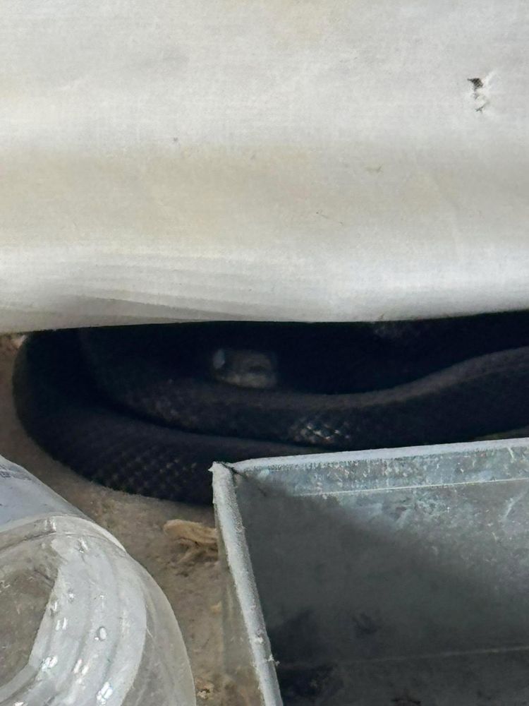 All Photos for Northstar Mechanical Services Inc in Charlotte, North Carolina