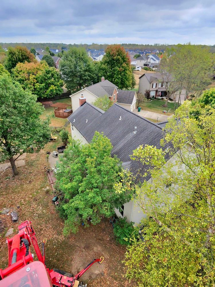 All Photos for F & F Tree Service in Beavercreek, OH