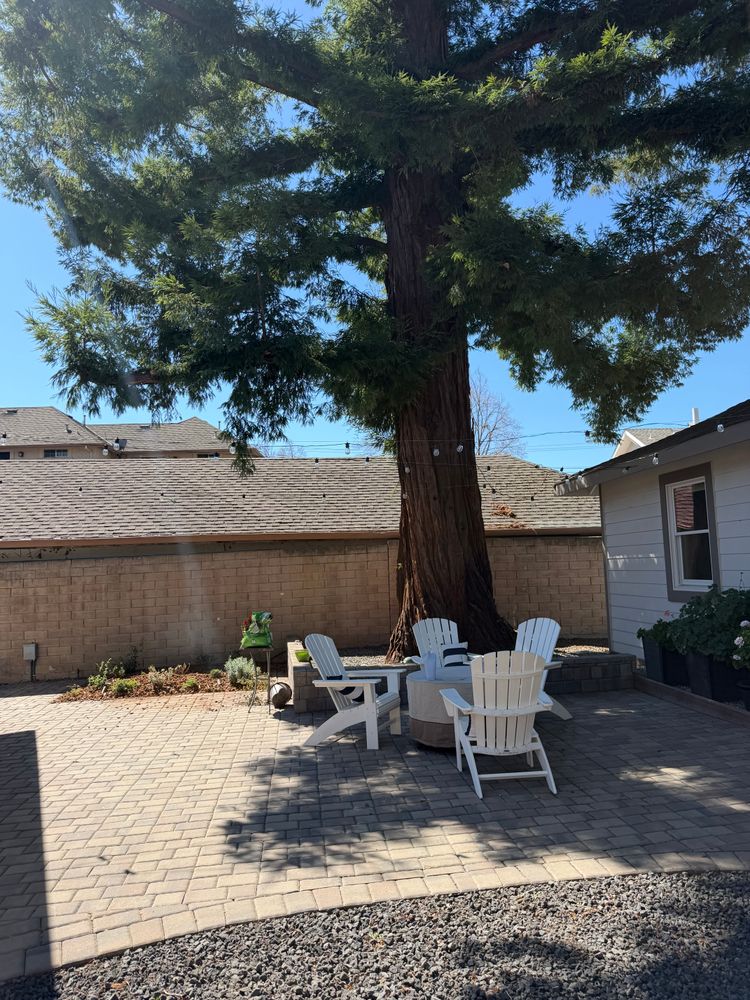 All Photos for CBA Landscaping in Hayward, CA