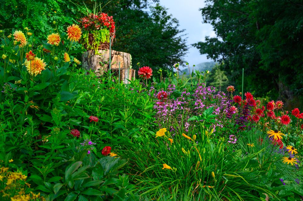 All Photos for Sustainable Lawn and Landscape in Banner Elk, NC