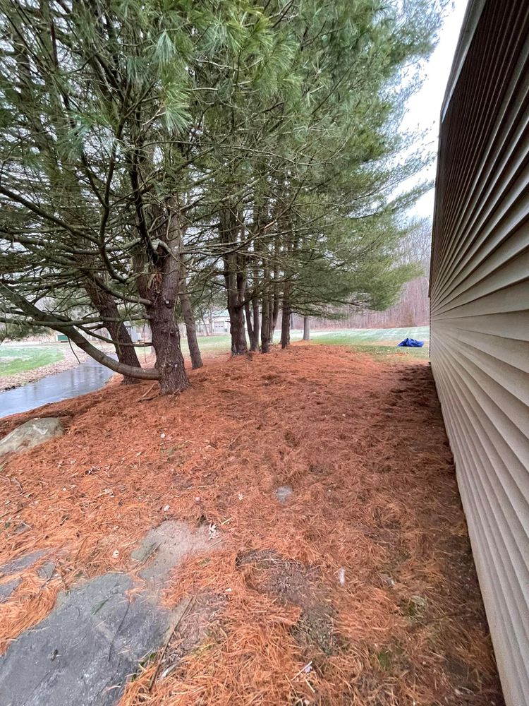 Full Landscape Redesign for Blades of Glory LLC in Cheshire, CT