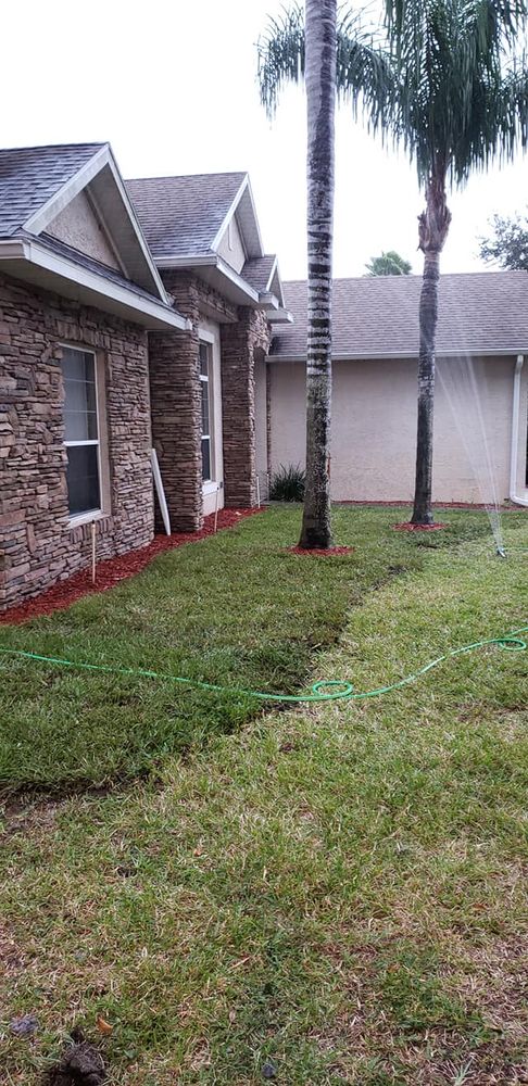 Tree Removal for Daniel Hickey’s Tree Service in DeLand, FL