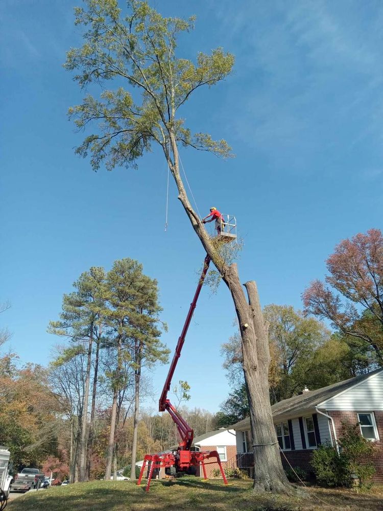 All Photos for Smith Tree Experts in Palmyra, VA