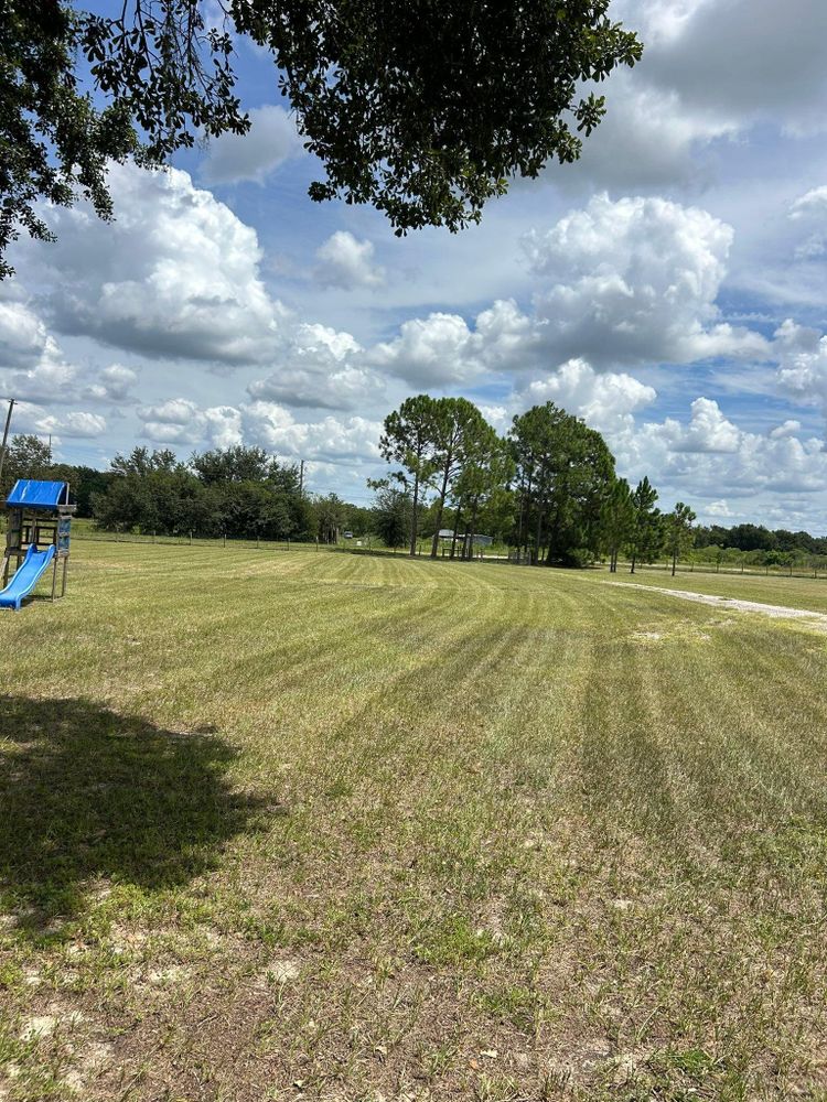 All Photos for Estrada All Pro Lawn Service in Auburndale, Florida
