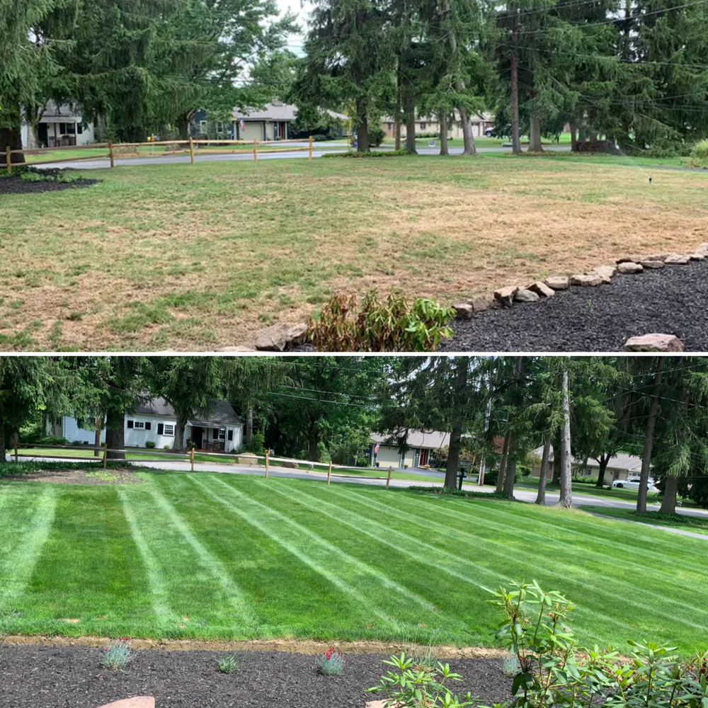 Transform your dull, patchy lawn into a vibrant oasis with our Lawn Renovation service. Our team will analyze your soil, install new sod or seed, and provide ongoing care for a lush yard. for Trueman Landscaping in Wexford, PA